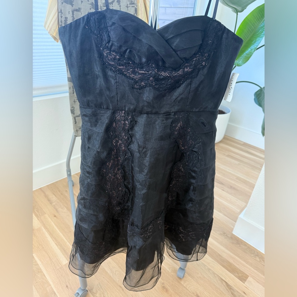 NWT! BCBG strapless ruffle, sheer, lace party dress!